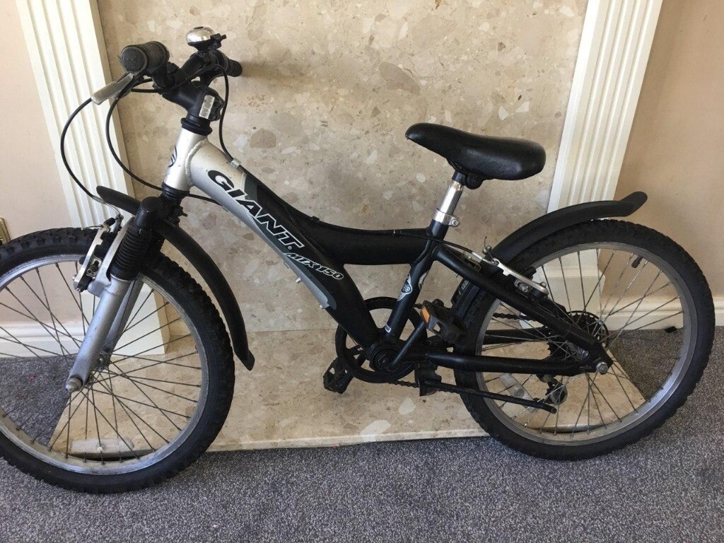 20 inch mountain bike giant
